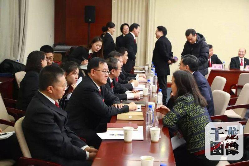鸡飞狗眺闹翻天,美女陪件复复来解一生肖详细解答、详细解答解释落实