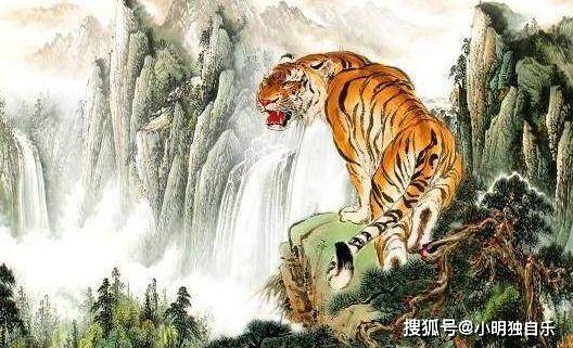 凡夫俗子打一最准生肖精选解析、解释与落实、构建解答解释落实