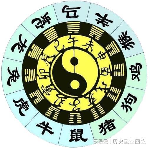 各显神通打一正确生肖，详细解答、构建解答解释落实