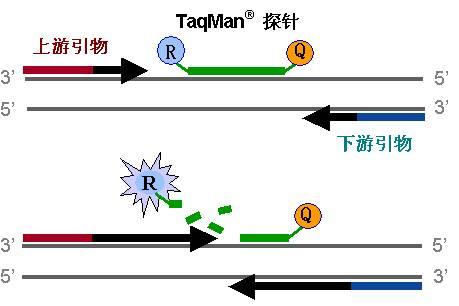 眼高于顶无尽处知足常乐包容心猜一生肖请全面释义、解释与落实、定量解答解释落实
