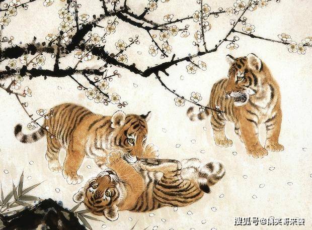 酒浇块垒打一准确生肖精选解析、解释与落实、构建解答解释落实