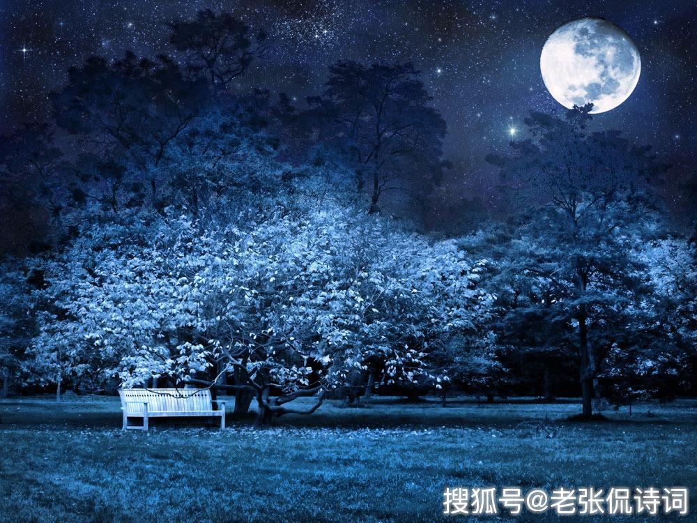 云物凄凉拂曙流是什么生肖,警惕虚假宣传落实,构建解答解释落实